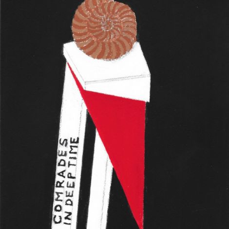 Jonas Staal, Neo-Constructivist Ammonites 2