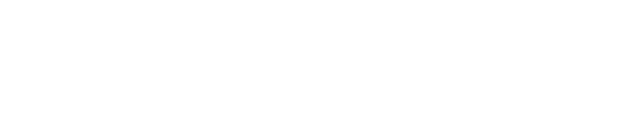 biennale:7